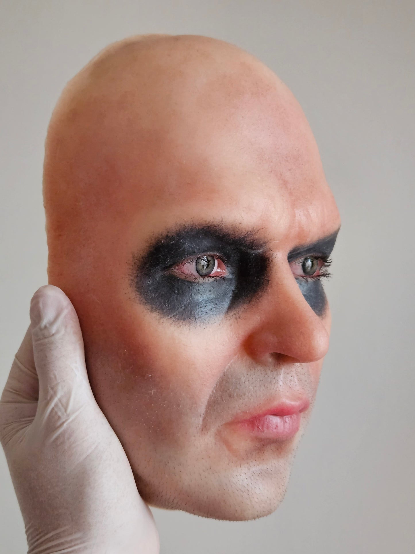 Face Insert for Cowl Display