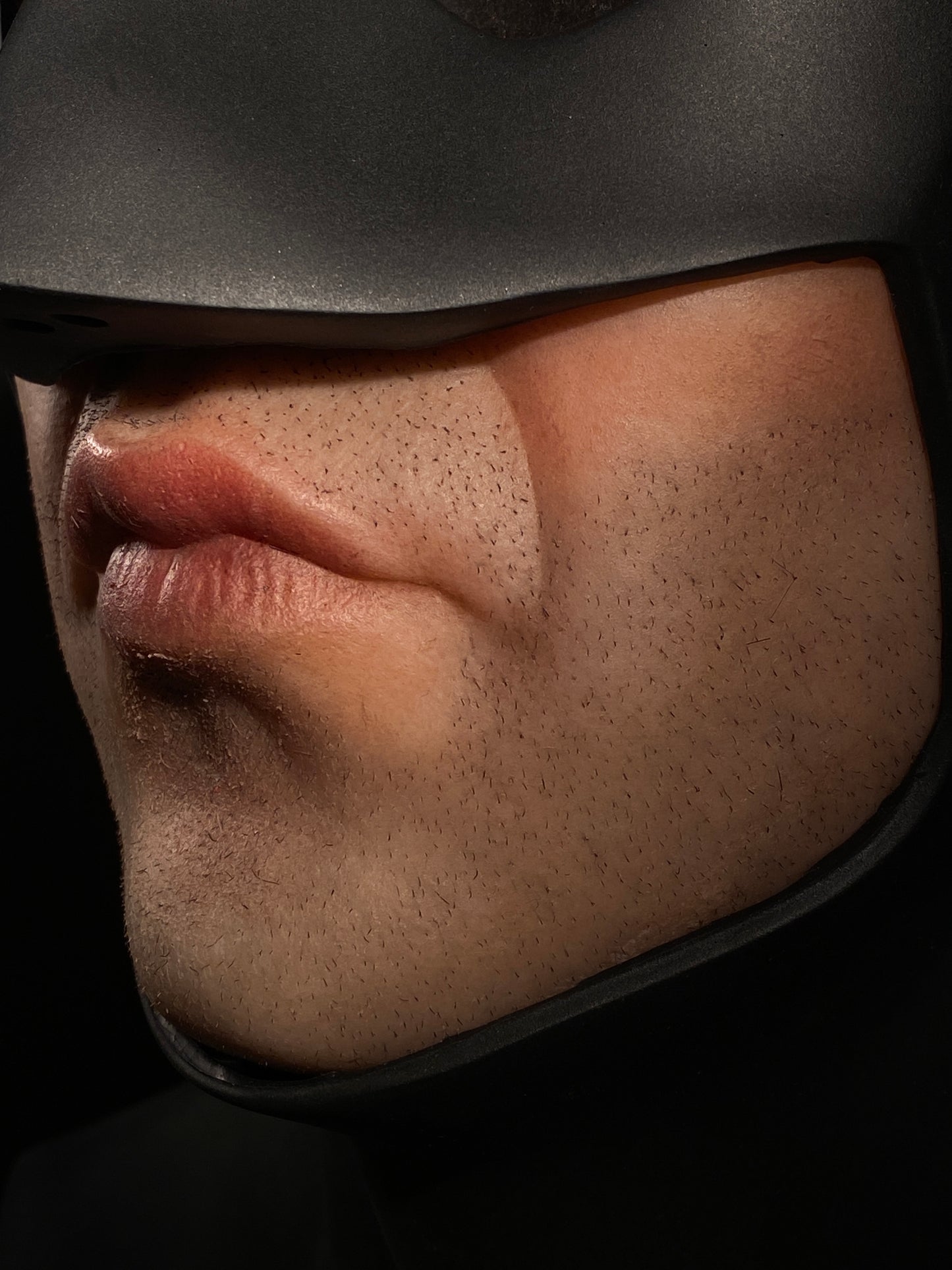 Face Insert for Cowl Display